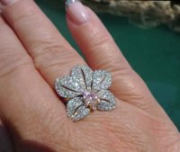 orchid ring by the pool.jpg