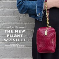 ImageUploadedByPurseForum1376692914.520952.jpg