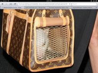 ImageUploadedByPurseForum1376859792.787035.jpg