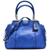 cobalt lilly.jpg