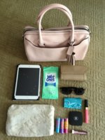 ImageUploadedByPurseForum1377543155.590655.jpg