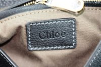 chloe 003.jpg