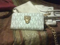 ImageUploadedByPurseForum1377576200.114019.jpg