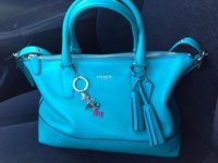 ImageUploadedByPurseForum1379049555.656168.jpg