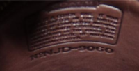 Picture 3.png