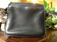 ImageUploadedByPurseForum1379377984.998333.jpg