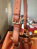 brown epi petit noe05.jpg