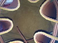 brown epi petit noe07.jpg