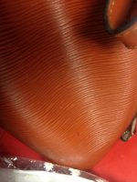 brown epi petit noe08.jpg