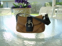 DSCF9518.JPG