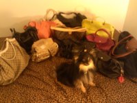 collection2.jpg