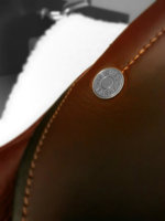 stylized_clou_de_selle_small.jpg