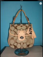 ImageUploadedByPurseForum1382198087.765756.jpg