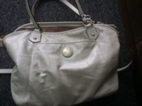 coach bag 1.jpg
