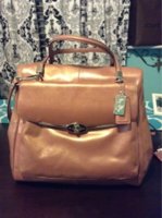 ImageUploadedByPurseForum1382592046.425202.jpg