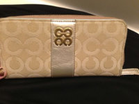 ImageUploadedByPurseForum1383070009.545303.jpg