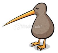 157354137_stock-illustration-17601709-kiwi-birdjpg.jpg