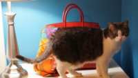 DSC03873.JPG
