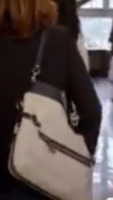 bag.PNG