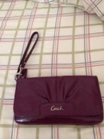 ImageUploadedByPurseForum1383411905.079480.jpg