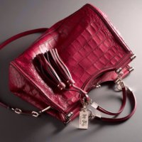 ImageUploadedByPurseForum1383673043.922396.jpg
