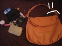 bag and contents.JPG