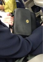 ImageUploadedByPurseForum1384779850.633863.jpg
