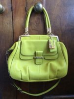 Coach Pinnacle Kiwi Lilly 22330.jpg