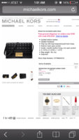 ImageUploadedByPurseForum1385283828.142822.jpg