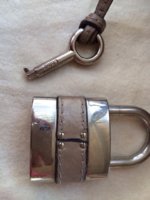 ImageUploadedByPurseForum1385324652.624112.jpg