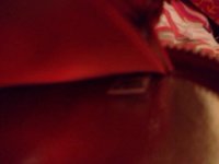 ImageUploadedByPurseForum1385416552.278462.jpg