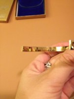 ImageUploadedByPurseForum1385522572.805783.jpg