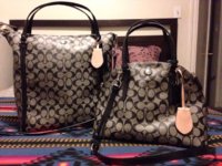 ImageUploadedByPurseForum1385776140.037622.jpg