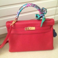 ImageUploadedByPurseForum1386064209.550716.jpg