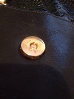 ImageUploadedByPurseForum1386117751.638044.jpg