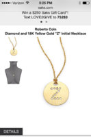 ImageUploadedByPurseForum1386516970.559721.jpg