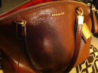 ImageUploadedByPurseForum1386555119.693741.jpg