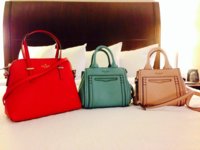 ImageUploadedByPurseForum1387027144.529192.jpg