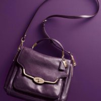 ImageUploadedByPurseForum1387612135.594494.jpg