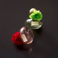 ImageUploadedByPurseForum1387612706.460063.jpg