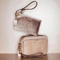 ImageUploadedByPurseForum1387612971.426756.jpg