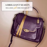 ImageUploadedByPurseForum1387613534.176786.jpg