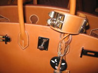 Barenia CDC 008.jpg