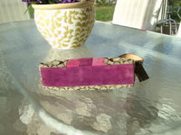 DSCF9863.JPG