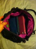 ImageUploadedByPurseForum1387856027.783046.jpg