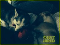miley-cyrus-shares-family-fist-fight-christmas-photo-02.jpg