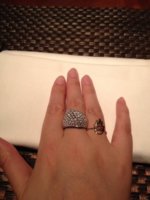 ImageUploadedByPurseForum1388276796.997970.jpg