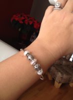 Pandora Bangle I got 73122519499229_151827321_n.jpg