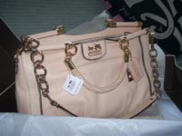 Coachpics 002.jpg
