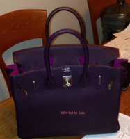 raisin birkin best.jpg